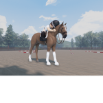 Equine Forest Center