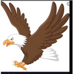 The Eagles Xb. Pyy