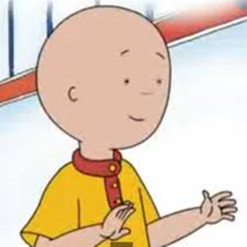 CAILLOU'S ARE DIFFRENT IN MENY WAYS