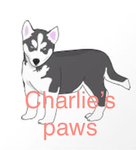 Charlie’s paws