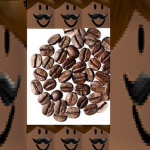very smol beans