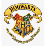 Hogwarts Experience
