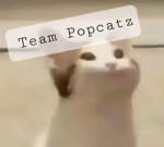 Team Popcatz