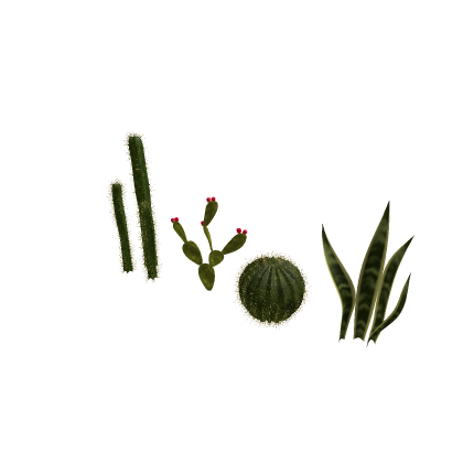 CactusPack