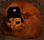 Battle Cat Marshal