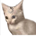CatzAntiBullys