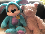 Z’s, Teddy And Mickey Mouse Group!