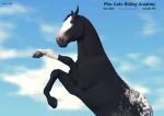 - Pine Lake RA -