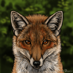 Tricky Foxes