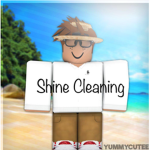 Shine Cleaning