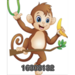 MONKE GANG ON TOPP