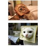 freshly baked human beings