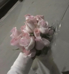pwetty ୨୧