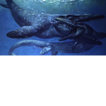 Mosasurs Group