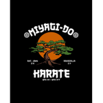 Miyagi-Do Karate Dojo