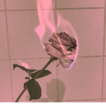 ~ FlowerBoy ~