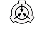 \ SCPF \ Mobile Task Forces