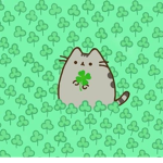 Clover shorts Fam