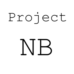 Project: N Battlegrounds