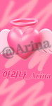 아리나의 그룹
