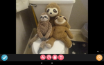 The potty slothy's