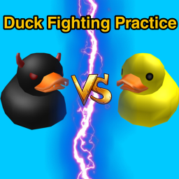 Duck Fighting Practice