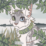 Santtu kitty's