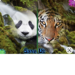 HELP SAVE THE TIGERS
