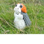 The porg club