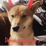 Demon's happy place (: