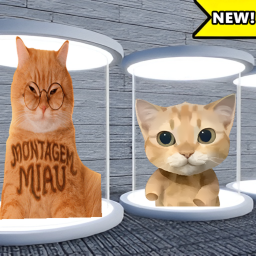 Ay Mi Gatito Tycoon