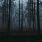 Eternal Twilight