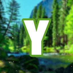 Y
