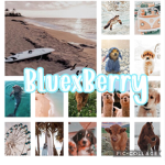 ~ BluexBerry ~