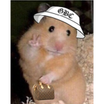 hamstersareswaggy