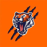 gamer tigers