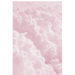 24_vibss