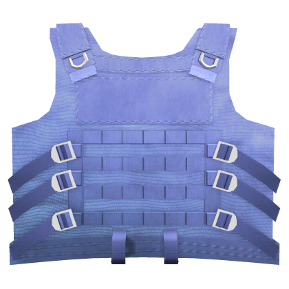 Blue Vest