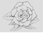 flower fans club