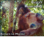 MONKE RISEEEEEEE
