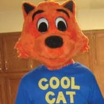 Cool Cat FanCIub