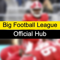 BFL | Official Hub