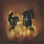 The Night Riders...