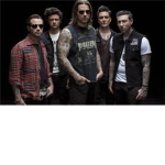 Avenged Sevenfold Fan's