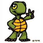 Turtle Life