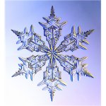 Frost Warrior Clan