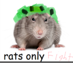 Master Rat Soldier