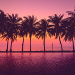Coconut Outfitters