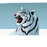 King white tiger