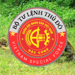 SF | Vietnam Special Force